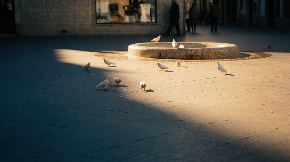 Put birds in a roof nobody enters