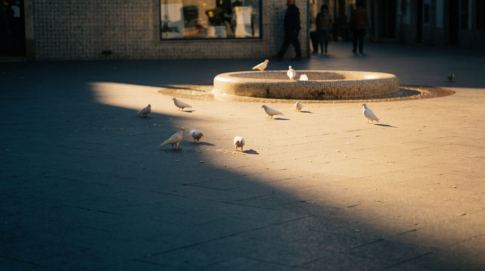 Put birds in a roof nobody enters