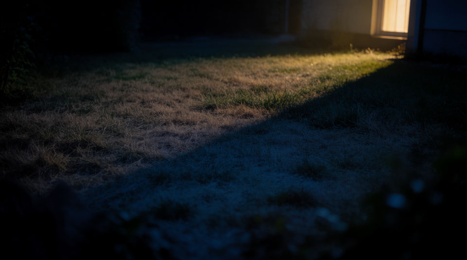 Let quiet chittering hold a night frame