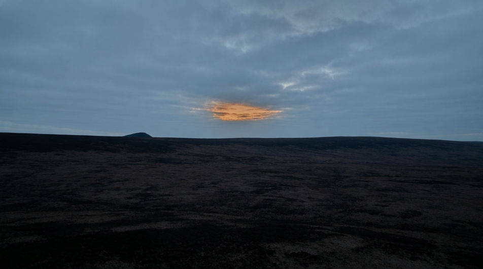 Let distant croaks hold open moorland