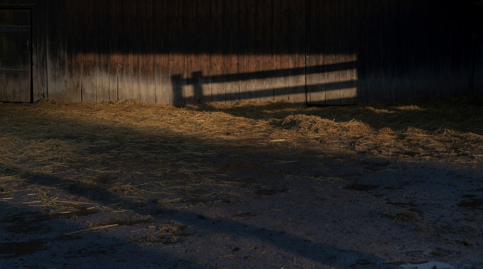 Let soft clucking hold a scene without music