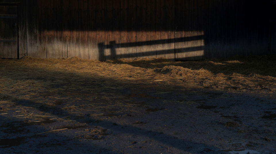 Let soft clucking hold a scene without music