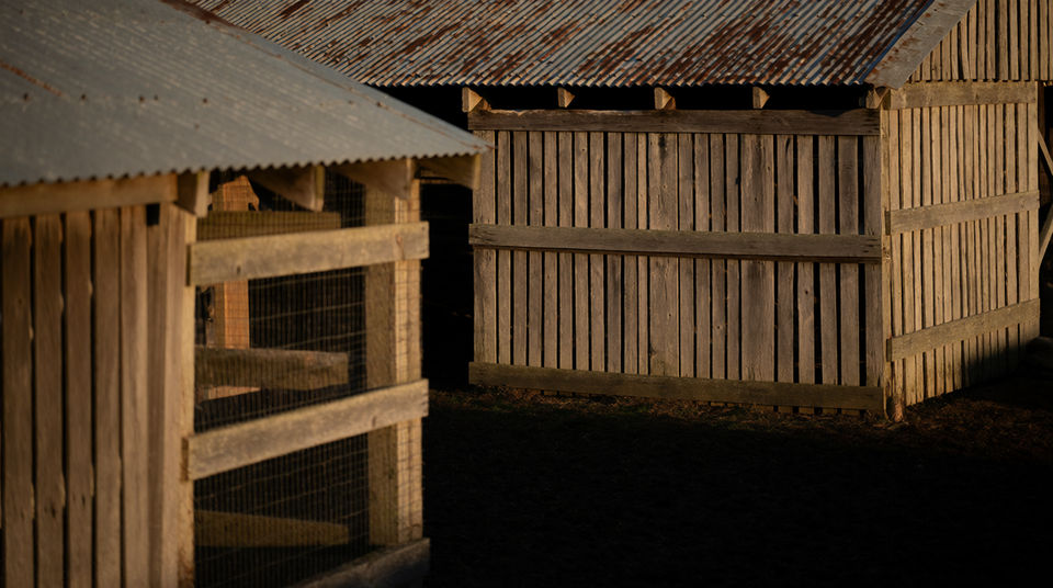 Tell the audience this is a farm