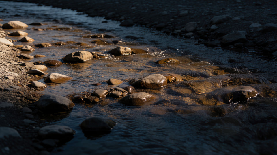 Let a stream hold a still frame