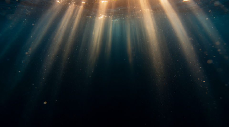 Say the ocean is enormous