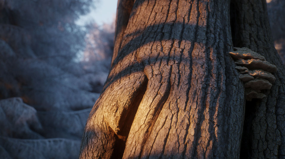 Say the wood is deep and old