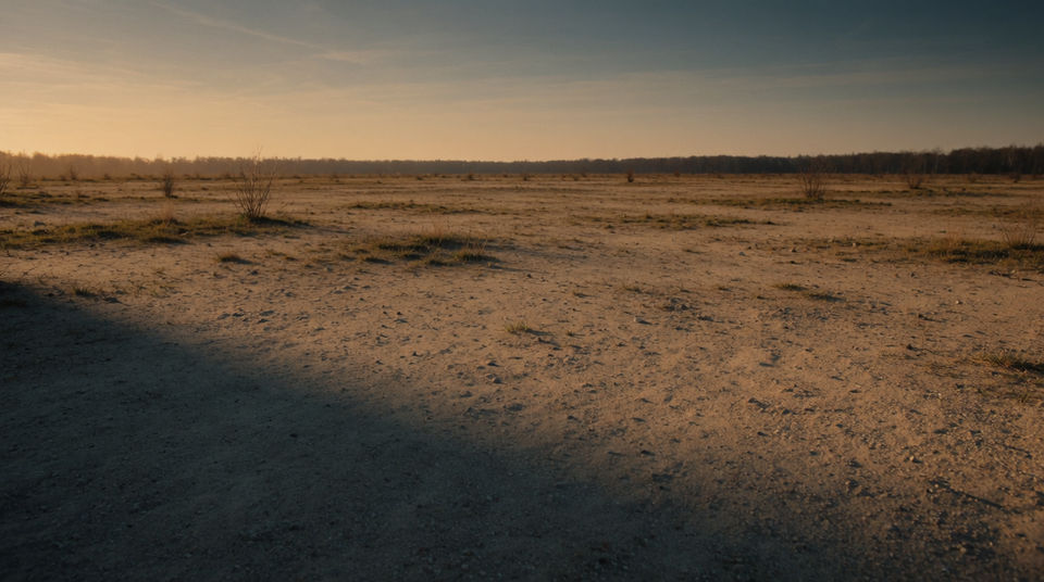 Let grazing hold a wide plain