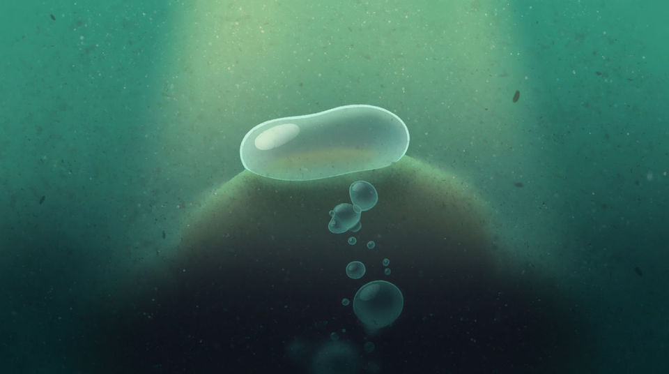 Something is moving under the water