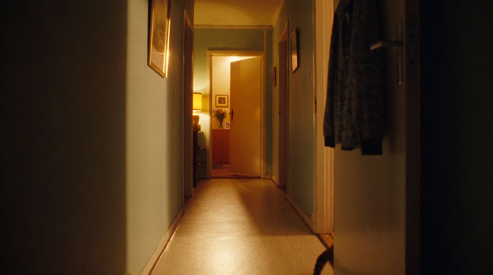 Put a cat in the room without filming one