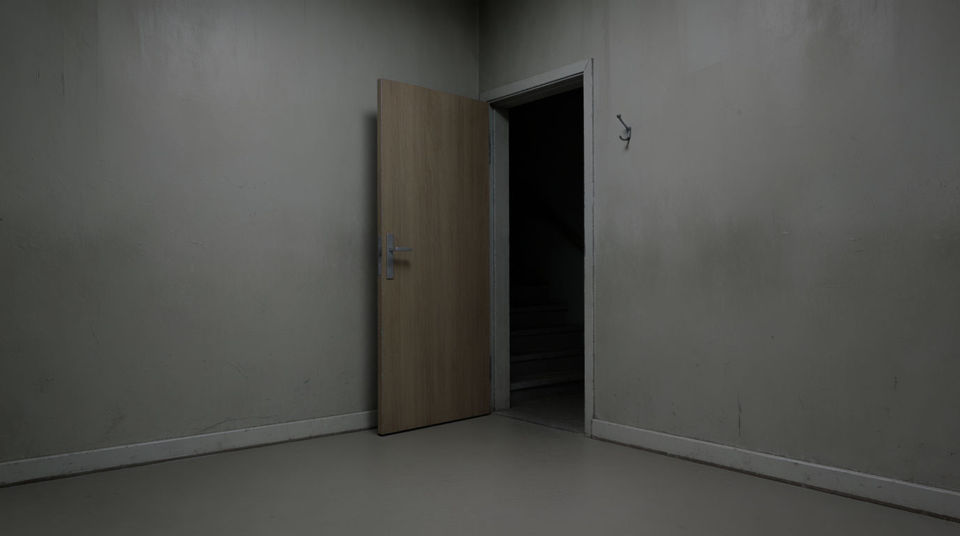 Whatever is standing behind the door