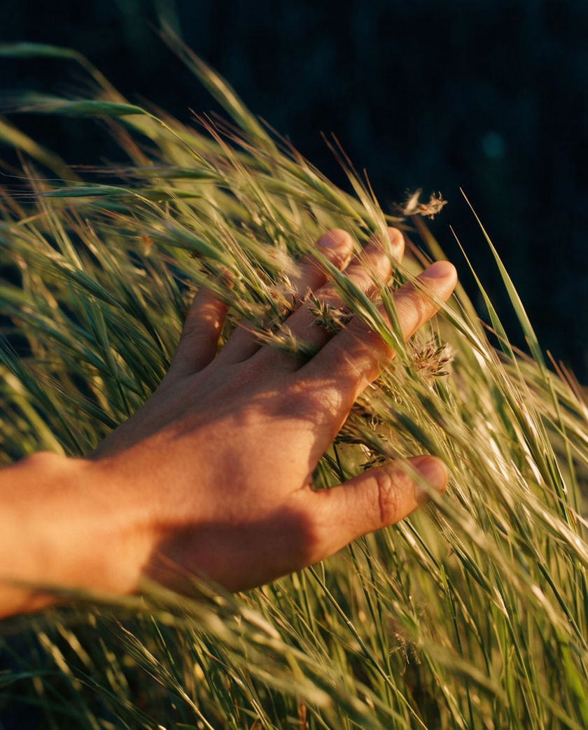A hand dragging across tall grass blades under one warm low side light, the stalks bending and springing back