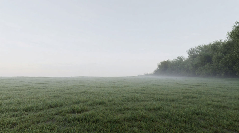 When a wide open field has nothing else in it