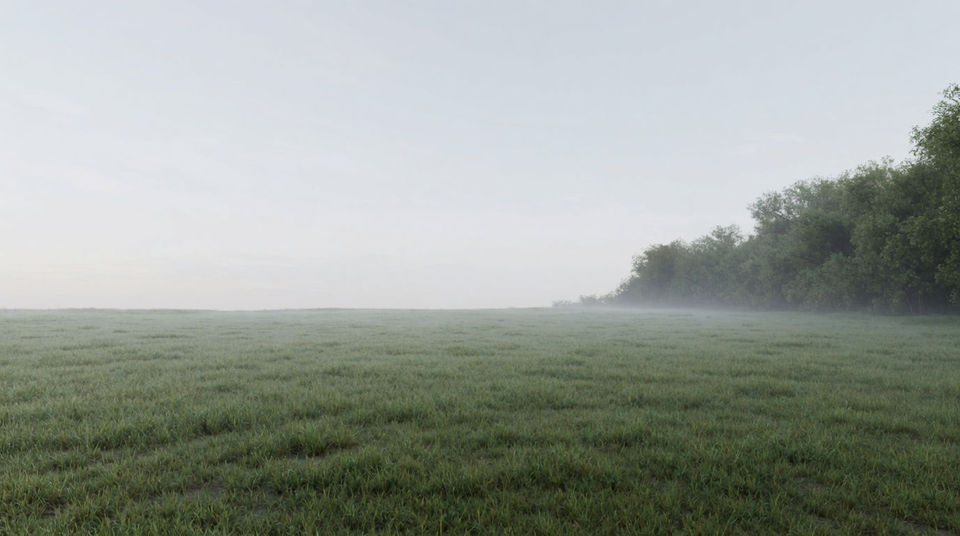 When a wide open field has nothing else in it