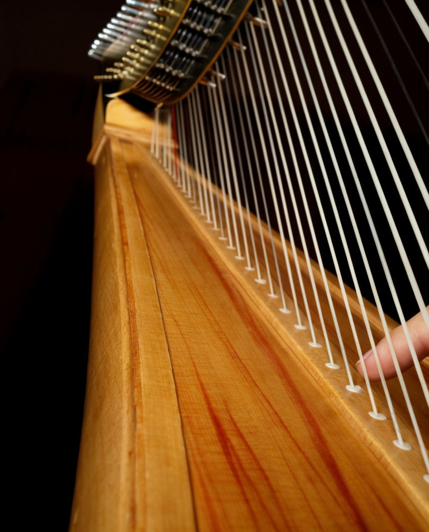 The strings of a concert harp raked by one warm side light against a dark ground, a hand sweeping across them mid-glissando