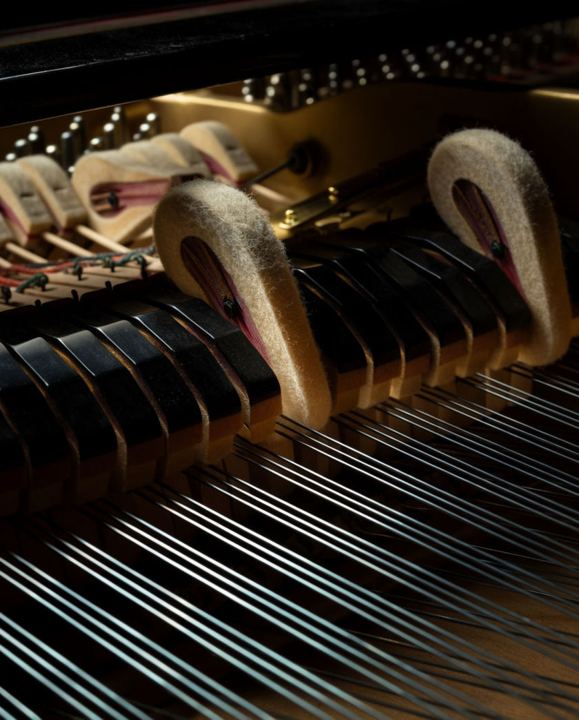 A grand piano hammer striking a string in warm low light against a dark ground, felt caught mid-strike