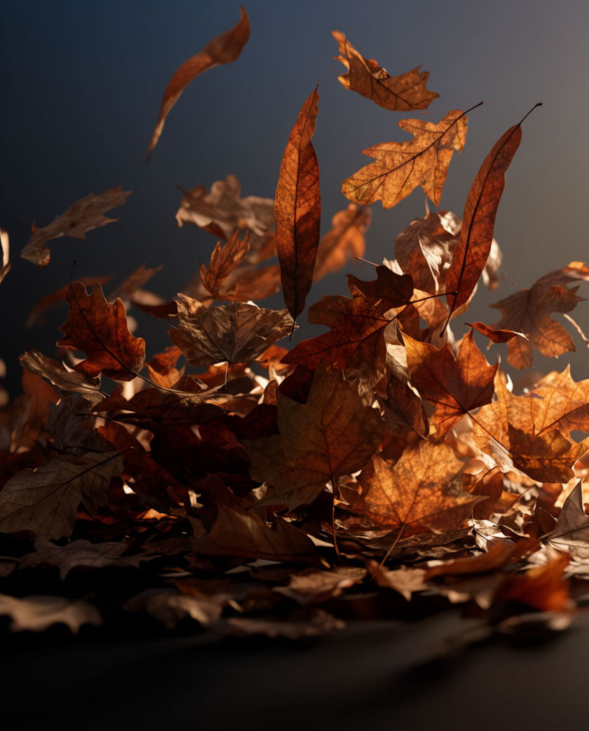 A close low-angle cluster of dry amber leaves mid-flutter, warm raking light catching their edges against a dark cool ground