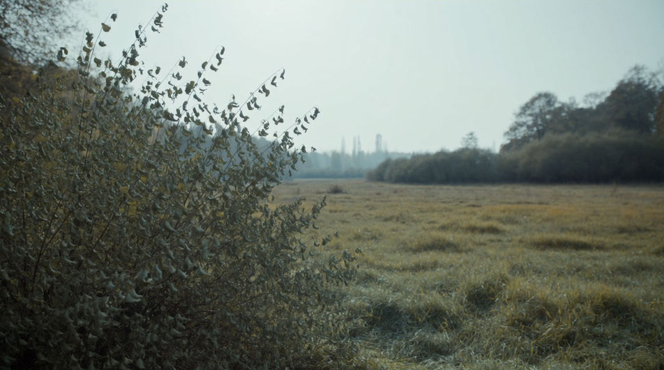 When a quiet forest shot needs air