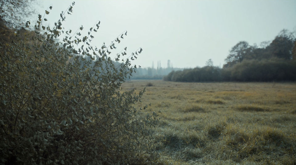 When a quiet forest shot needs air