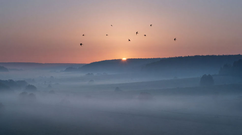 Turn a bare lawn into countryside at 6am