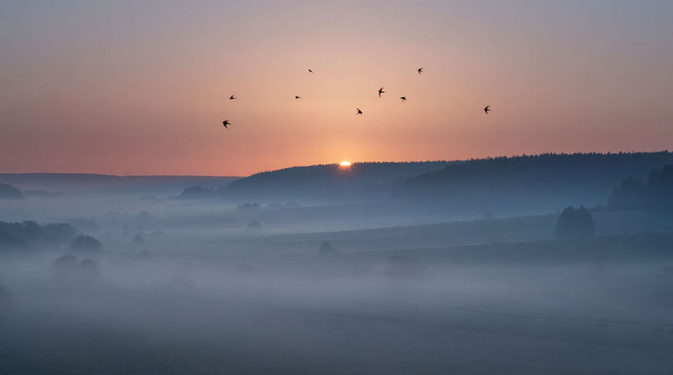 Turn a bare lawn into countryside at 6am