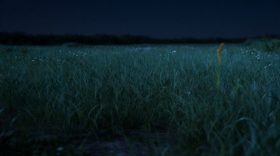 When a still shot needs somewhere to settle