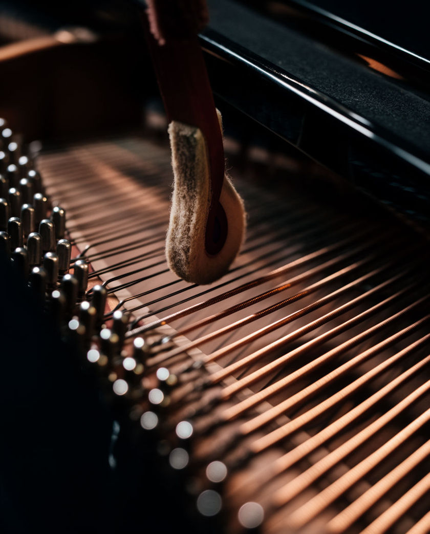 A hand pressing a grand piano key with the felt hammers behind it catching warm low light against a dark ground