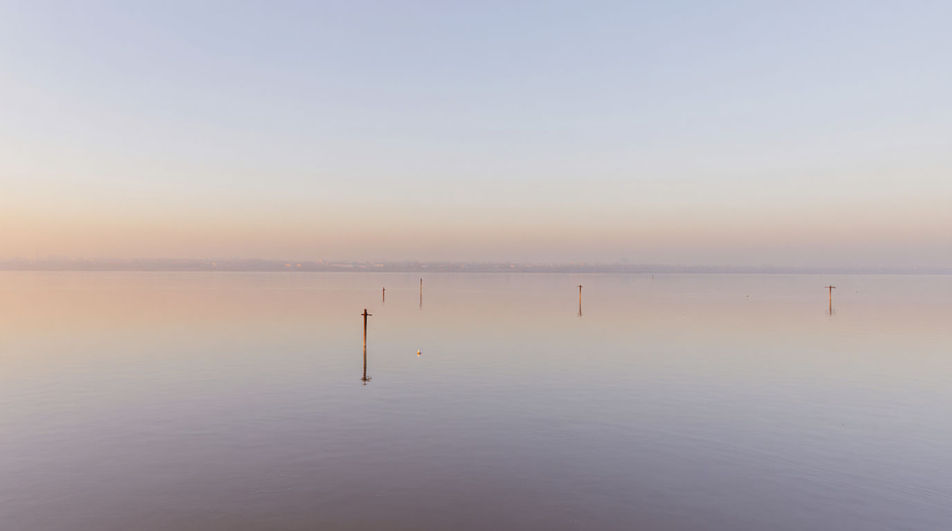 When a nature shot has no music under it