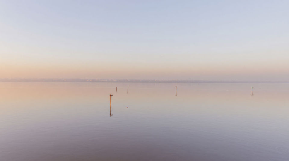 When a nature shot has no music under it