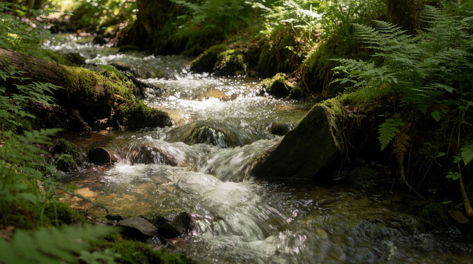 Water you can hear before you see it