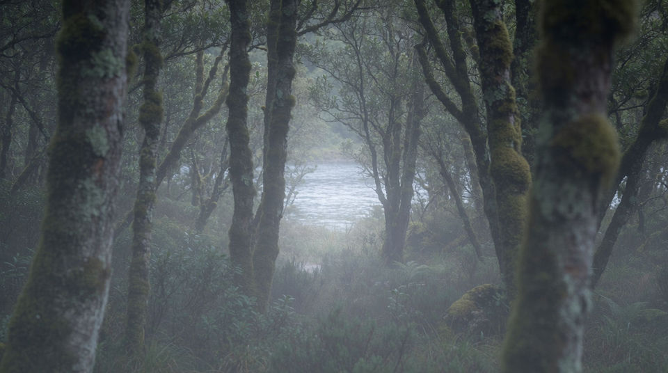 The valley below, out of frame