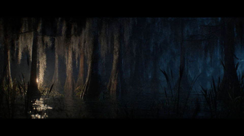 Deep bayou after dark