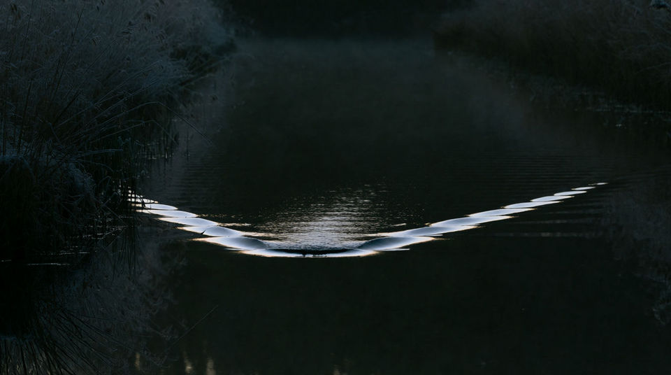 Whatever is moving under the surface