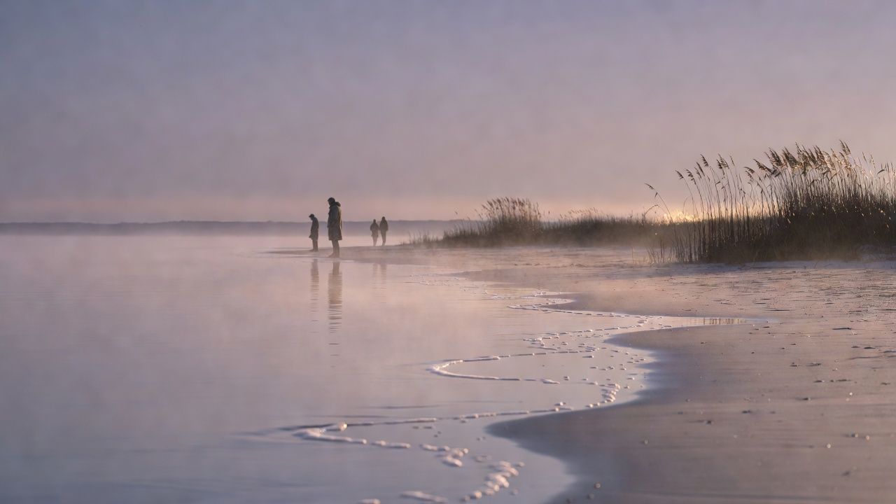 Quiet shoreline at dusk with soft mist over the water