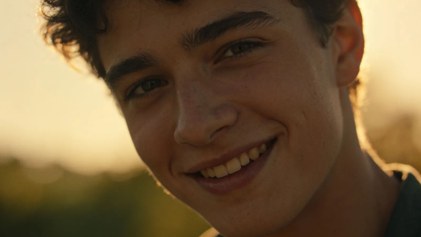 Warm easygoing companion, golden-hour portrait