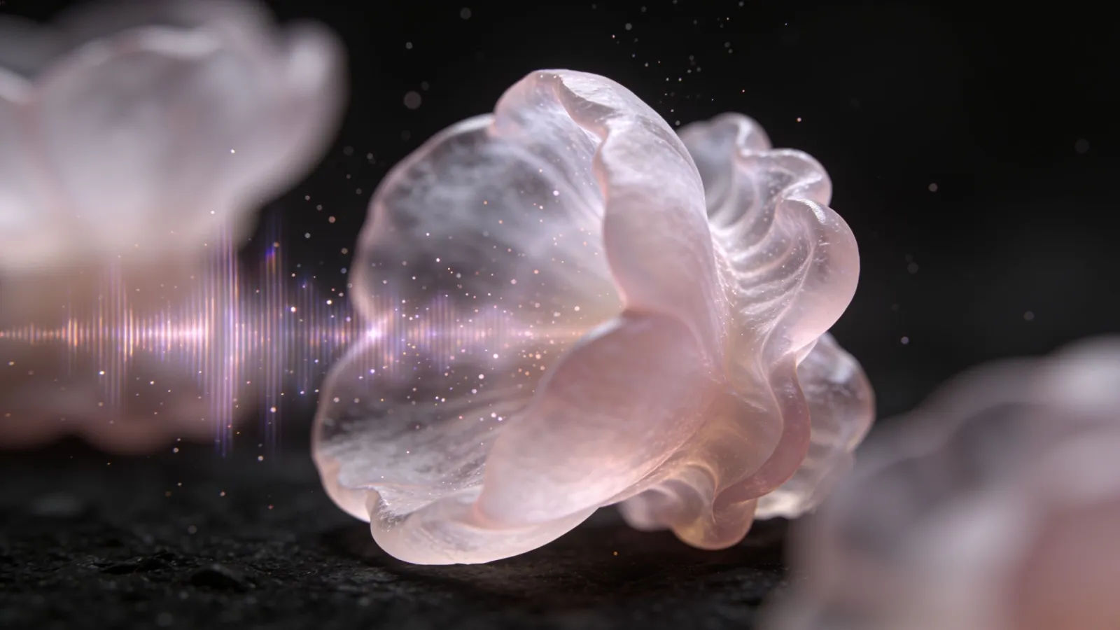 Delicate gentle pastel soundwave macro close-up