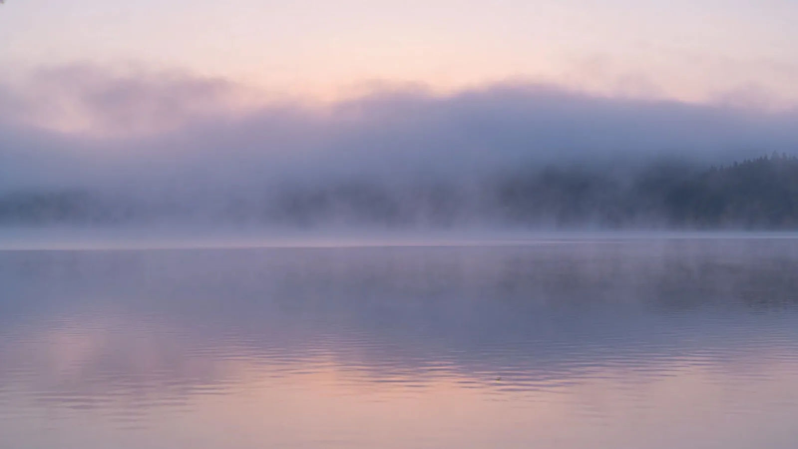 Still misty lake at dawn with soft fog