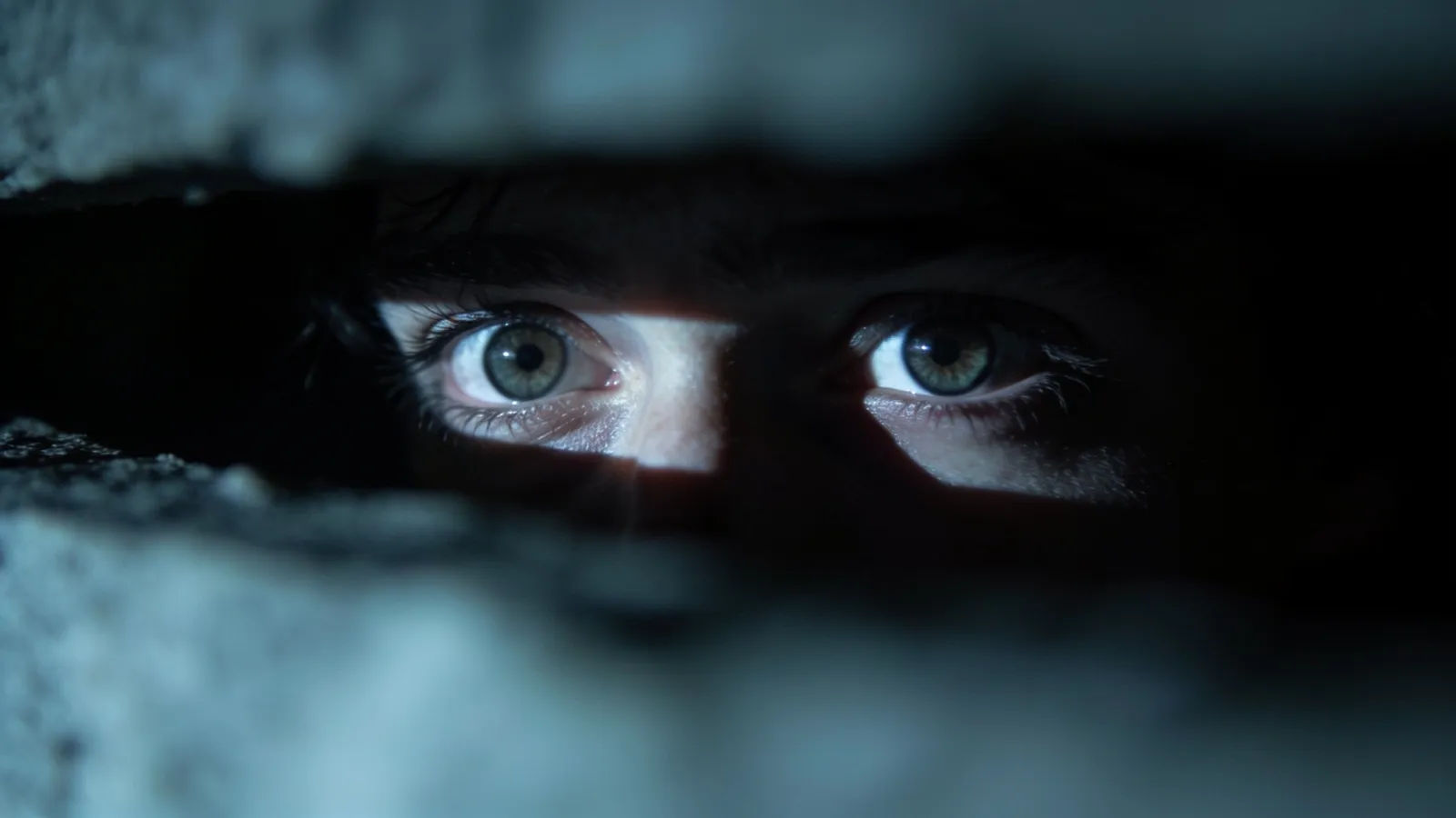 Frightened figure half-lost in shadow