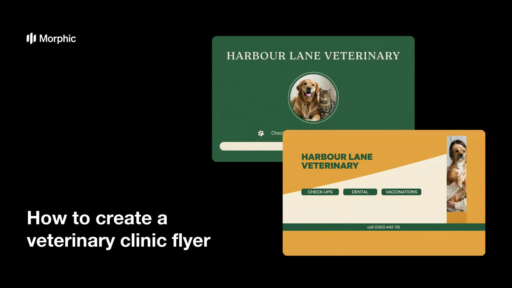 How to create a veterinary clinic flyer