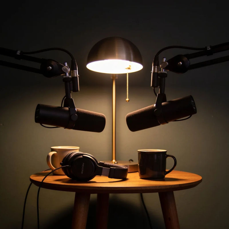Two studio microphones facing each other across a small table under a warm lamp