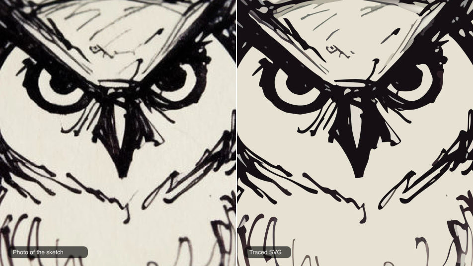 Close-up of an ink owl sketch: the photo on the left, the traced SVG with crisp flat shapes on the right