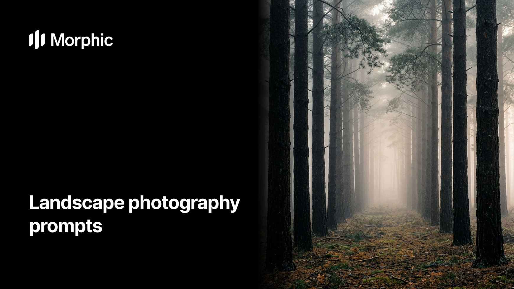 Landscape photography prompt library on Morphic