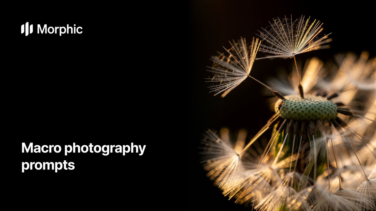Macro photography prompt library on Morphic