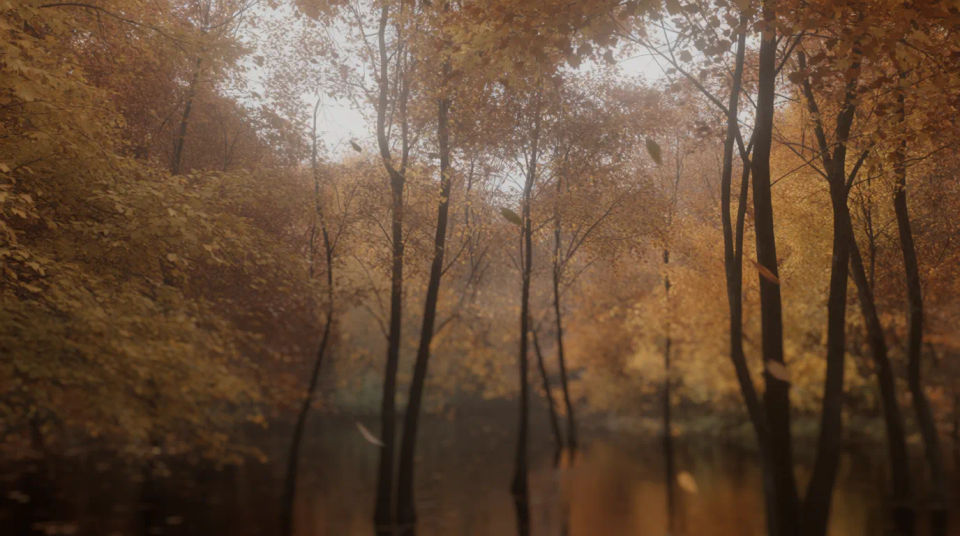 Presentation background