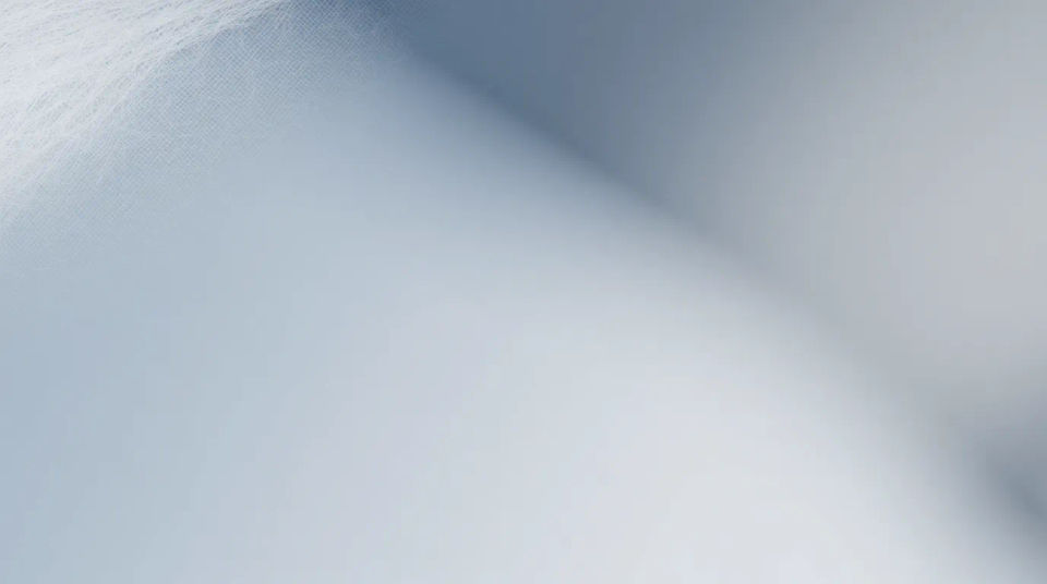 Newsletter header (600px)