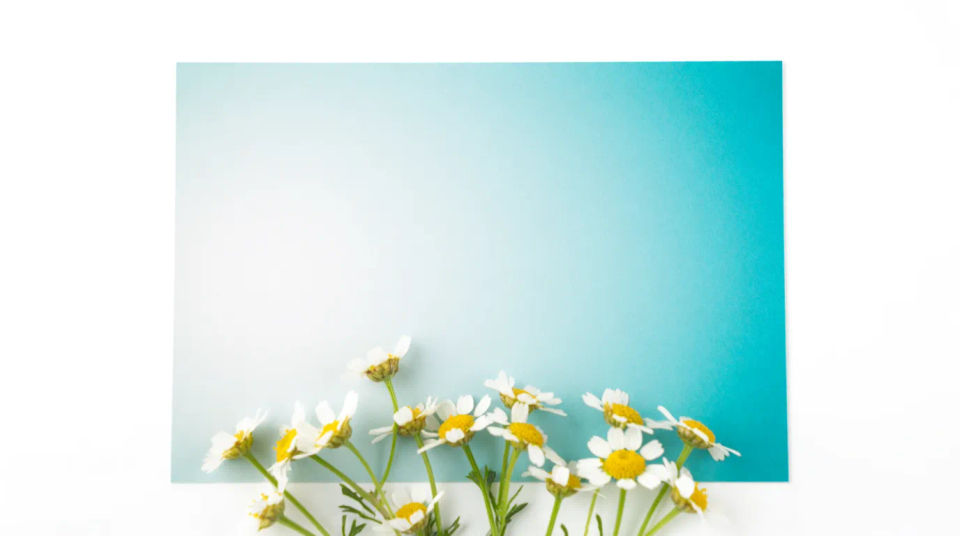 Blog and article header