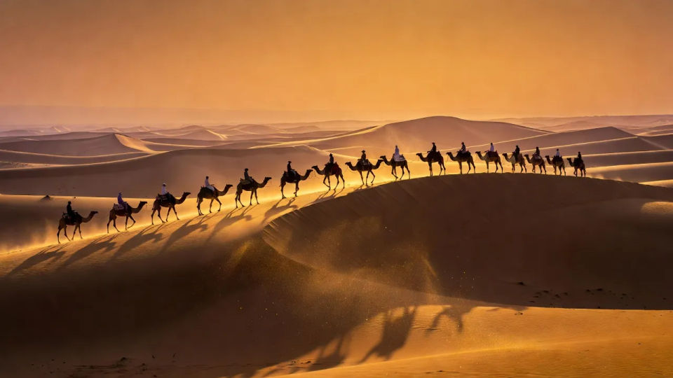 Dune ridge caravan line