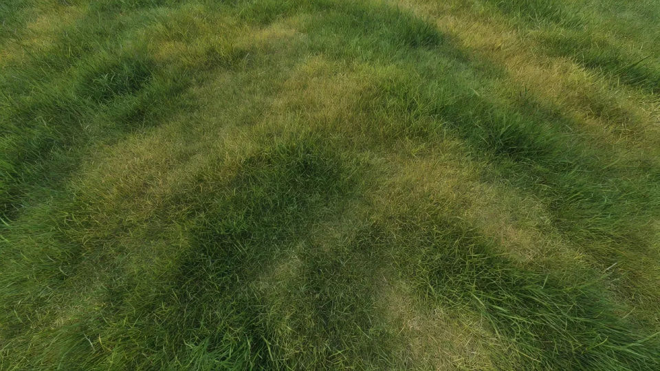 Flat-lay surface