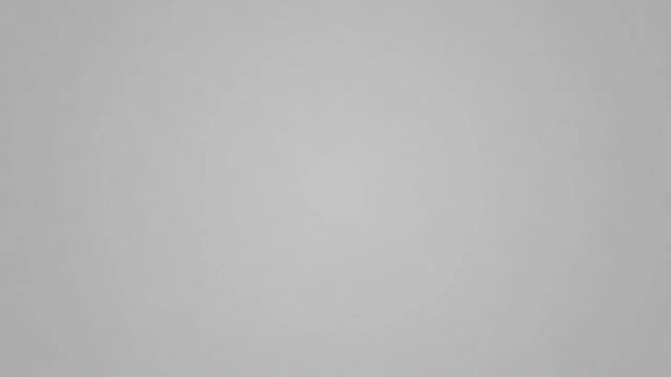 Portrait studio backdrop
