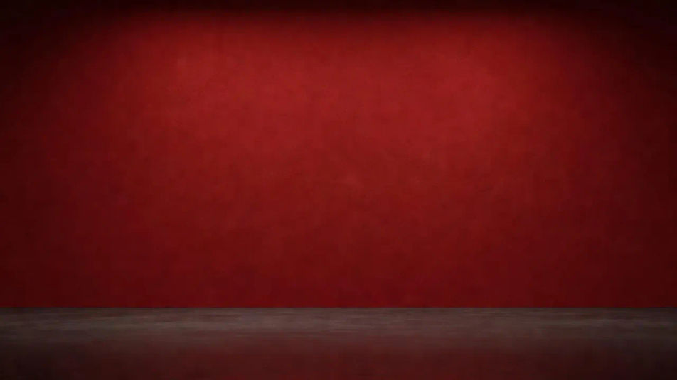 Portrait studio backdrop