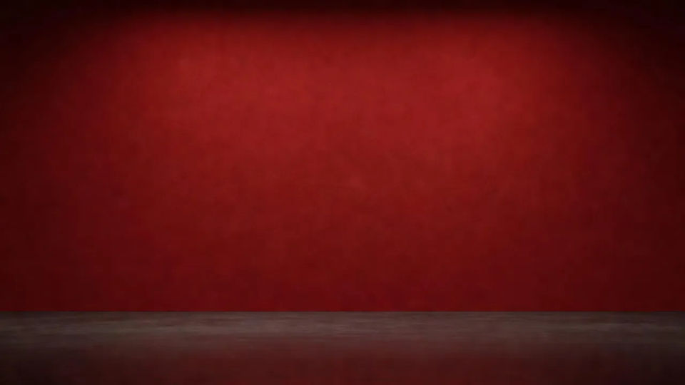 Portrait studio backdrop
